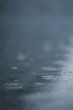 teapalm:  (Tasha Marie) | Rain