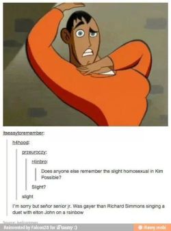 lobstronomousskeleton:  itsstuckyinmyhead:  Kim Possible and Tumblr  the best
