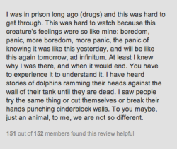 freethecetaceans:   anthony-falletta:  Review I found on Netflix for the movie Blackfish.. said perfectly from a totally different perspective.  Woah dude 