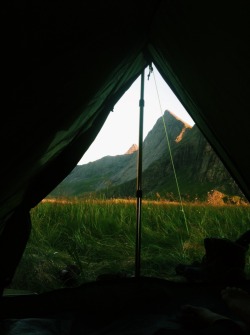 alexander-burton:  Here are some phone pics of my sleeping arrangement for the past few days (living outdoors is the best) 