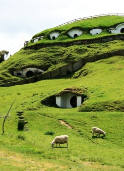 ruffboijuliaburnsides:  minardil: Abandoned Hobbiton from Lord Of The Rings taken over by sheep.   As it should be.  