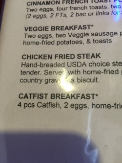 shanedog09:  I’ll have the catfist breakfast. That sounds delicious.