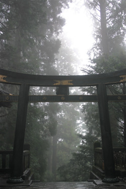 de-preciated:  Mist Over Torii Gate (by calzean) Nikko - Tosho-gu Shrine  