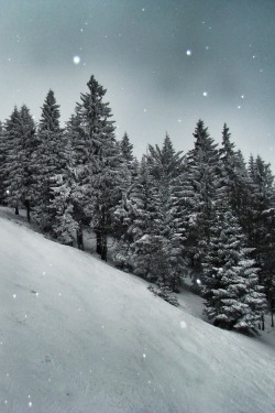 r2–d2:  Oberwiesenthal Snow by (Dandea Radu Stefan) 
