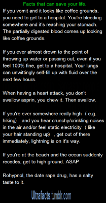 the-stray-liger:  ultrafacts:  Source: 1 2 3 4 5 6 If you want more facts, follow Ultrafacts  Except if you’re close enough to the place where lightning is gonna strike to hear and feel the fucking electricity you’re fucked and getting out of there