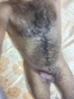 haurukoh:  Morning wood….btw do you like the new bedsheet?  What bedsheets?  I see an awesome hairy, sexy body - WOOF.