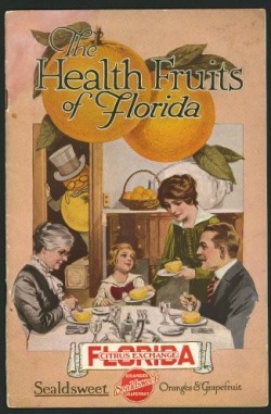 oldflorida:  The Health Fruits of Florida