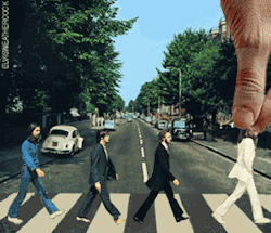 scottpatrick:  Abbey Road - Monty Python Edition 