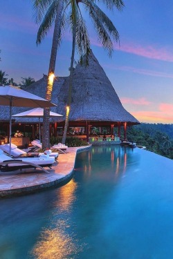 livingpursuit:  Infinity Pool at Viceroy Bali