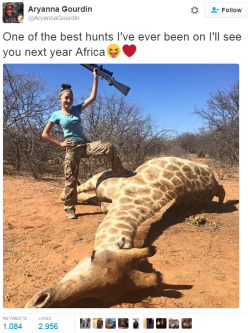 bigmammallama5: suchaneutralgood:  christel-thoughts:  prepfordwife:   thefandomdropout:   blackness-by-your-side: she definitely spills the tea   But a giraffe though? Is nothing sacred?!   Giraffes do nothing to anyone. What is the deal with whites
