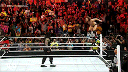 hiitsmekevin: Daniel Bryan and Roman Reigns brawl before they meet at Fastlane