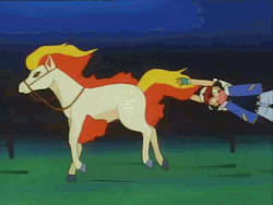 rewatchingpokemon:  ah yes the proper way to ride a ponyta  Yep just grab it by the fire there u go. just stick your hands in the flames and hold on you stupid fuck.