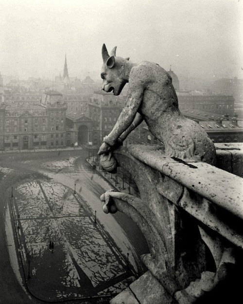 A Gargoyle of Notre Dame, Paris 1920. - Pierre-Yves Petit Nudes &amp; Noises  