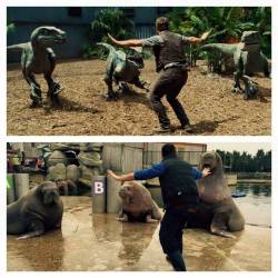 nerdistindustries:  FTW. Zookeepers and trainers around the world are recreating Chris Pratt’s famous raptor pose from Jurassic World.Check out a round-up of our favorite poses on Nerdist.com!