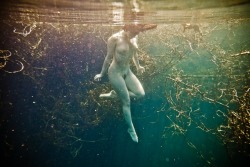 asylum-art:  Neil Craver: Omni-Phantasmic  Artist on Tumblr This underwater photographic series is visual voyage of metamorphosis into the subconscious waters of the mind. The ultimate metaphysical quest into the undercurrent of consciousness 