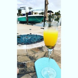 7/365 ✨🥂🌴🐝💋   #newyear #2019 #2018 #mimosa #wine #nature #stpetersburg #florida #ocean #vitaminsea #firepit #leighbeetravel #latergram #newyearsday #familytime #grilling #lovewhereyoulive #happiness #hibiscus  (at Treasure Island, Florida)