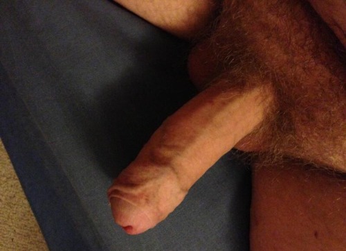 perthcurious:  Hairy and hard…