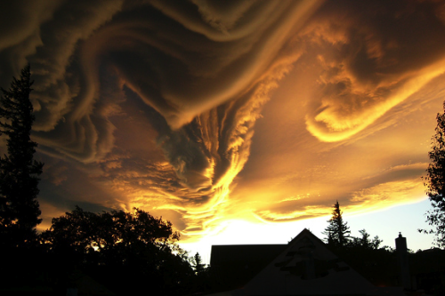 awkwardsituationist:  asperatus clouds via the cloud appreciation society photographed by (1) ken prior in perthshire, scotland; (2) rebecca fein in pioneertown, california; (3) bill slater in hamner springs, new zealand; (4) cate kelly in hamner springs,