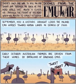 optimysticals:  dat-soldier:  shadowmaat:  enrique262:  The disastrous Australian Emu War.  Someone turned it into a comic. YES.   never forget the emu war  And the rest of the world is like, “WTF Mate?” 