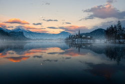 woodendreams:  Lake Bled, Slovenia by Aleš