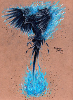 the-wool-to-hide-the-wolves:  Pheonix by Kirstyn Janelle  A different design