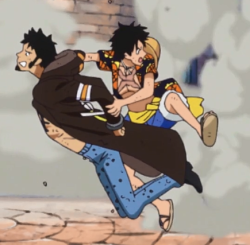 the-mad-valkyrie:kitikattt7:kitikattt7:that-nagging-source-of-reason:Luffy protecting the baeomg Laws faceso i decided to make these 2 transparent…and…wellSCREECH