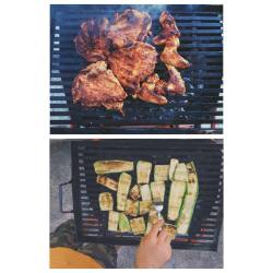barbecue day 🌾