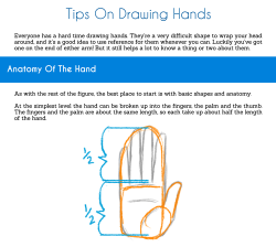 popgoesthewiener:  sarahculture:  Tips on Drawing Hands Tutorial Hope this is helpful! Twitter DeviantArt  @toddnjordbremer 