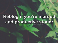 420guitars-etc:  stonerthings:  :)  Very