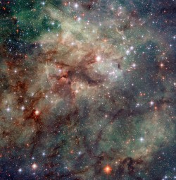 just–space:  Tarantula Nebula js