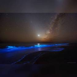 Night Glows #nasa #apod #bioluminescence #bioluminescent #plankton #ocean #atmosphere #clouds #horizon #venus #planet #zodiacallight #dust #solarsystem #stars #centralband #milkyway #gulfofoman #iran #interstellar #universe #space #science #astronomy