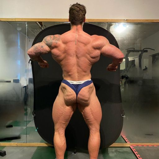 cdngymrat:  Woof! Bring on the Roidpigs.