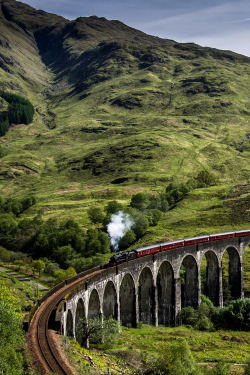 expressions-of-nature:  Glenfinnan Viaduct