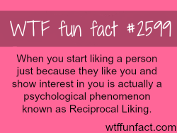 wtf-fun-factss:  Reciprocal Liking the psychological phenomenon - WTF fun facts