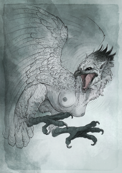 Harpy - by Woari