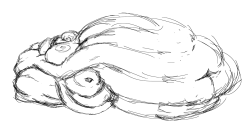 gitbigger:  Buncha freaky immobile fat doodles.  Dude&hellip; Whoa&hellip; Yeeeeeeessssssss