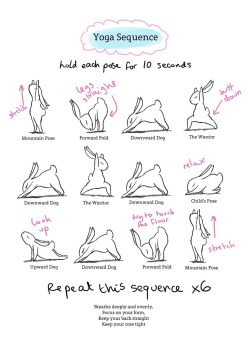 fit-fab-fun:  Yoga Bunny Routines! - CredsI