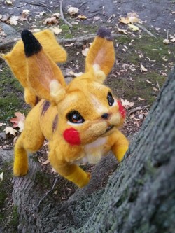 peachdaydreams:  A wild Pikachu appears …. I use Ash Ketchum costume and ketchup ..it’s super effective! I know there a little late as it’s almost a a full week since halloween, but here are a few pictures of Pikachu from this past halloween. I