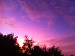 millstoney:  Pink sky in the morning, shepherds warning.
