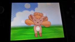 Check it out! My darling~   Now all I need is a Ditto to  get one that&rsquo;s TOTES mine and not someone else&rsquo;s that I traded for. I still have no freakin&rsquo; idea where they found that Vulpix!  Also need a Ditto to spawn tons of Eevees&hellip;