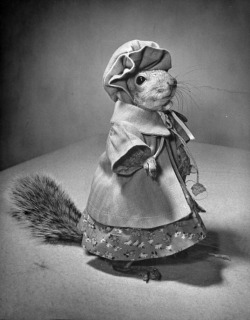 Nina Leen - Fashion squirrel, 1940&rsquo;s. In the 1940s a squirrel owned by the wife of a Washington dentist became famous throughout the United States. The squirrel&rsquo;s name was Tommy Tucker and he wore women&rsquo;s clothing.