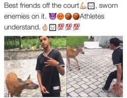 catwithbenefits:  thelulusoldier:  icedyuris:  WHY DOES TH E DEER HAVE A DEFENSIVE STANCE IM   That deer was solid af last year in the college ranks.  did you know that @dugglexx can bball with the best of them? 