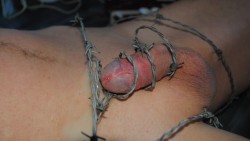 go-speedybouquetruins:  My Sadist Master loves to watch me get hard after he uses barbed wire on me. The pain is brutal but after about an hour of me torture myself., he likes to grind his boots on my crotch making me bleed. This is just the beginning