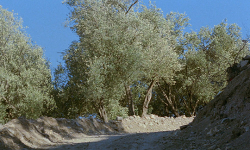 wkwz: And Life Goes On (1992) dir. Abbas Kiarostami