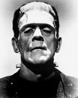 torontocrow:  The Bride of Frankenstein 