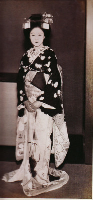 Miyako Odori