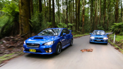 driverdad:  Boxer FightWe pitted the all new 2014 WRX STi against the 1999 WRX STi 2-door for a classic action match in the Victorian high country. Lots of blue. Lots of fun.