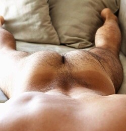 hairyfuckers:  Get lost in the fur     