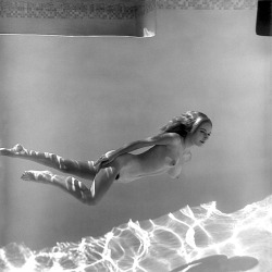 efspar:  the-nauti-life:  20th-century-man: Gloria Knight / photo by Edmund Leja, 1964.   Nauti.org: Life is Better Where it’s Wetter…  lovely underwater curves