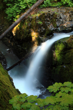 outdoormagic:  Sol Duc Falls, Olympic National